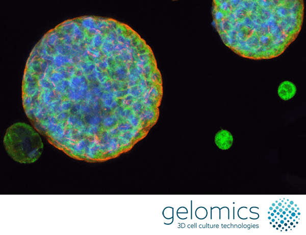 Gelomics' 3D Cell Culture Technology